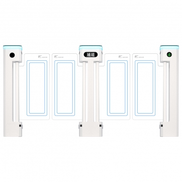 立式擺閘【雙通道】