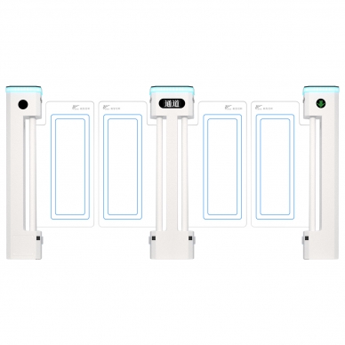 立式擺閘【雙通道】